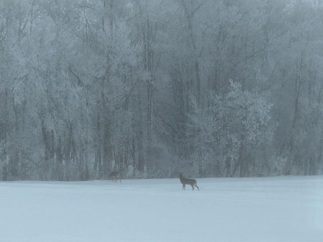 27196 Co Hwy 21, Detroit Lakes, MN 56501