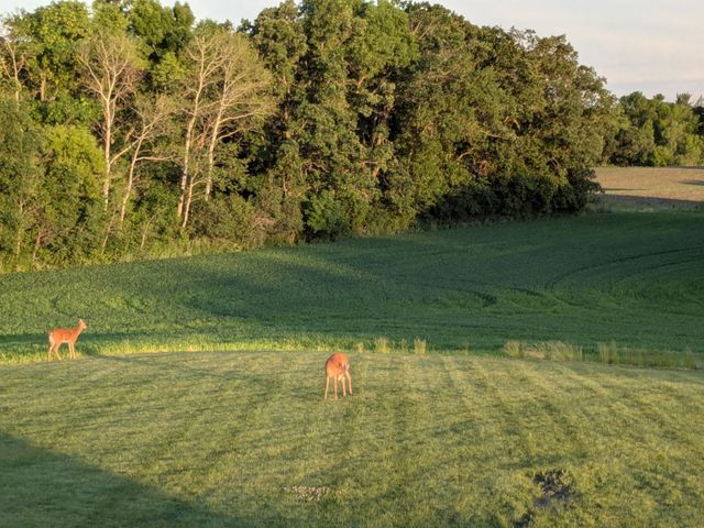 27196 Co Hwy 21, Detroit Lakes, MN 56501