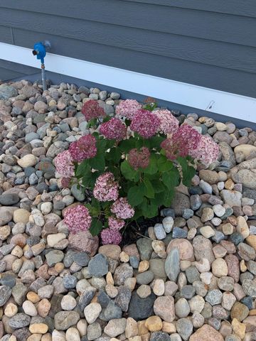 27196 Co Hwy 21, Detroit Lakes, MN 56501