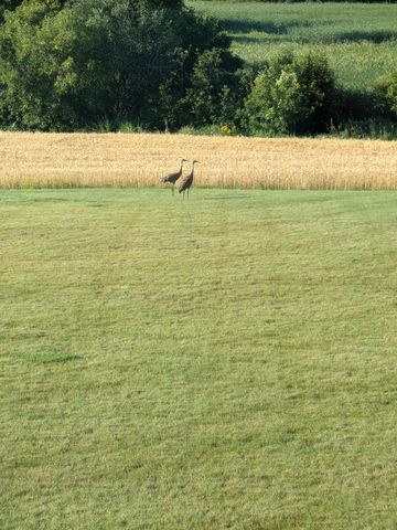 27196 Co Hwy 21, Detroit Lakes, MN 56501