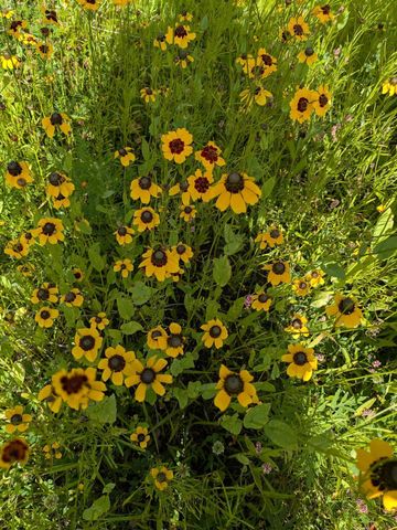 27196 Co Hwy 21, Detroit Lakes, MN 56501