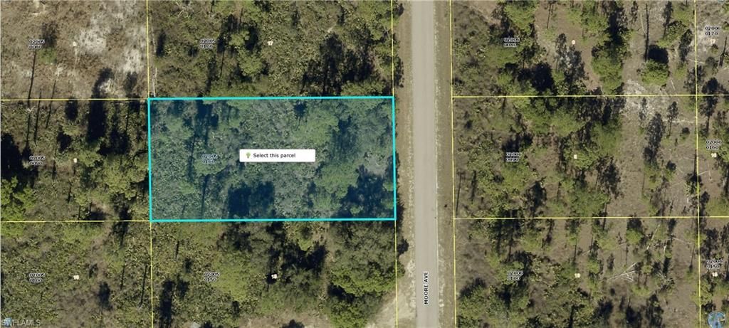 807 Moore AVE, LEHIGH ACRES, FL 33972 — exterior