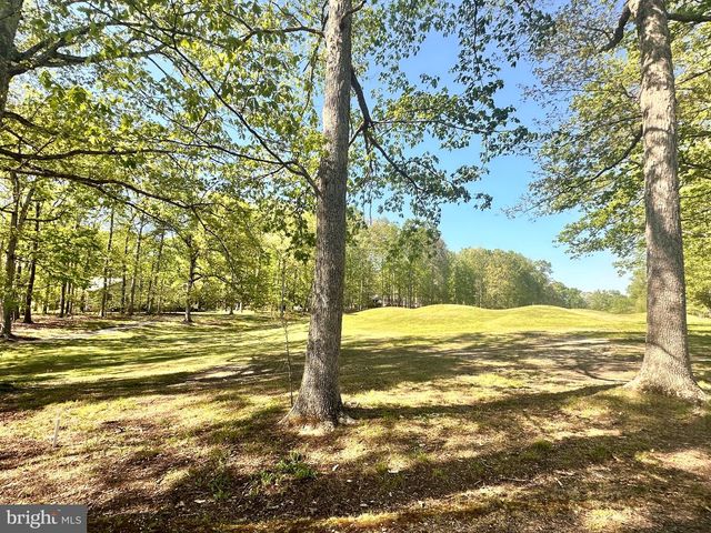 510 BIRDIE RD, Locust Grove, VA 22508