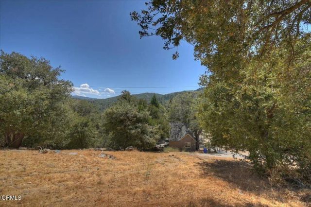 196 Balsam Dr, Cedar Glen, CA 92321