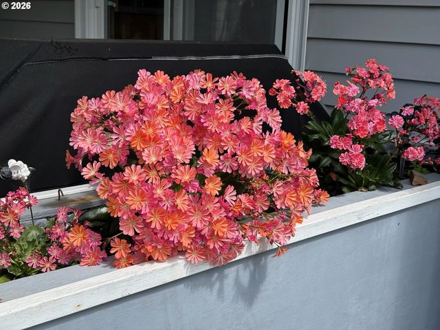 2360 HIGH St, Reedsport, OR 97467