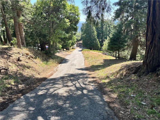 0 Bone, Cedarpines Park, CA 92322