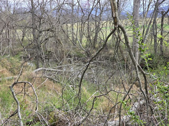 6579 Vervilla Rd, Morrison, TN 37357