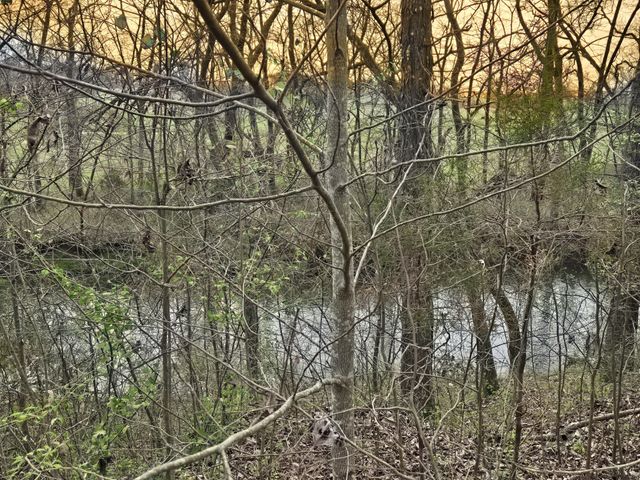 6579 Vervilla Rd, Morrison, TN 37357