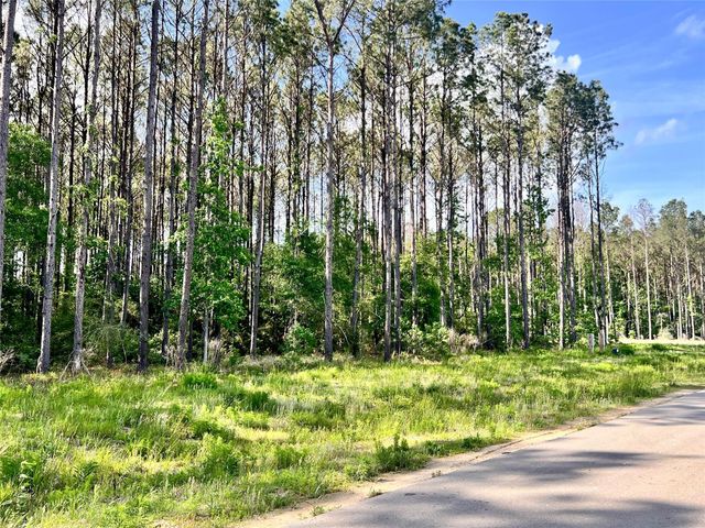 4261 Road 66126, Dayton, TX 77535