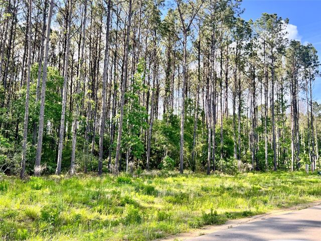 4261 Road 66126, Dayton, TX 77535