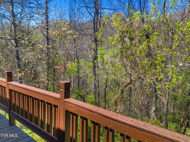 158 Dalson Road, Eidson, TN 37731
