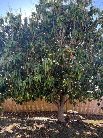 4611 NE 15th Avenue, Pompano Beach, FL 33064