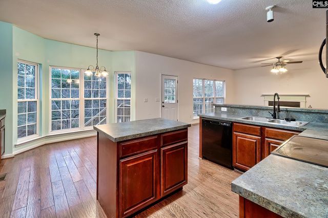 18 Persimmon Wood Court, Irmo, SC 29063