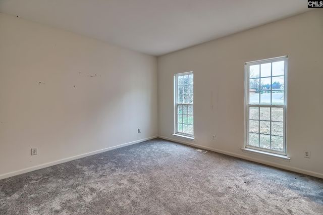 18 Persimmon Wood Court, Irmo, SC 29063