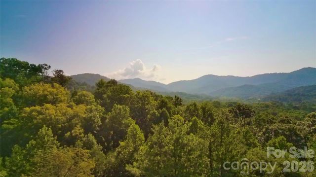 99999 Elk Mountain Ridge 13, Asheville, NC 28804