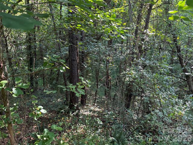 99999 Elk Mountain Ridge 13, Asheville, NC 28804
