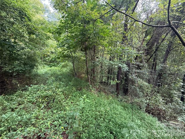 99999 Elk Mountain Ridge 13, Asheville, NC 28804