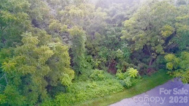 99999 Elk Mountain Ridge 13, Asheville, NC 28804