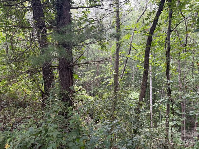 99999 Elk Mountain Ridge 13, Asheville, NC 28804