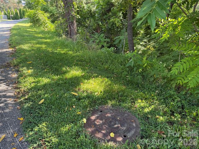 99999 Elk Mountain Ridge 13, Asheville, NC 28804