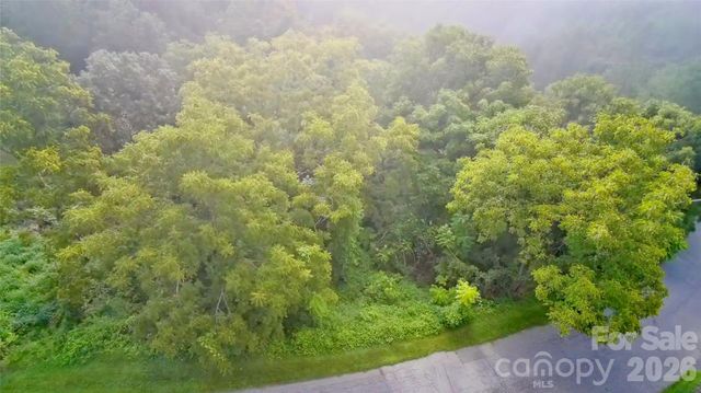 99999 Elk Mountain Ridge 13, Asheville, NC 28804