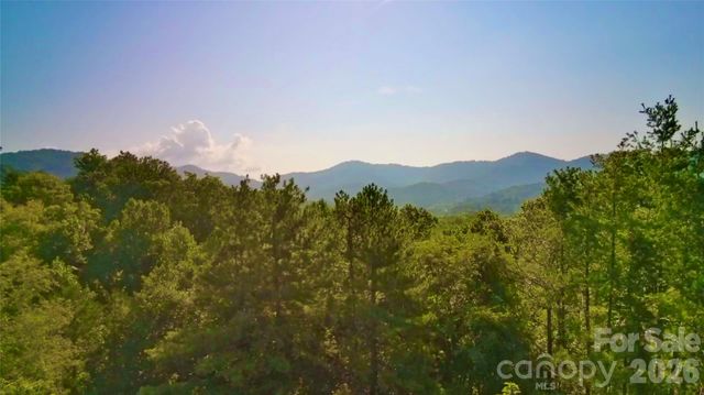 99999 Elk Mountain Ridge 13, Asheville, NC 28804