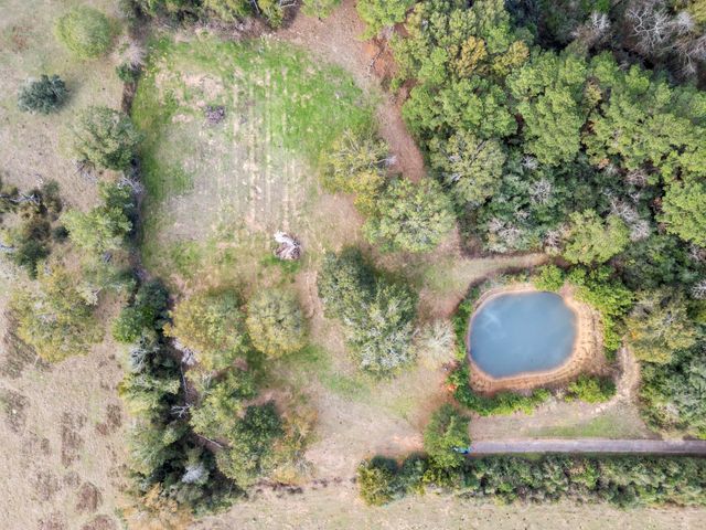 23077 Flukinger Road, Waller, TX 77484