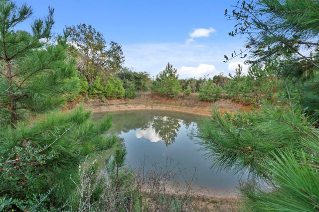 23077 Flukinger Road, Waller, TX 77484