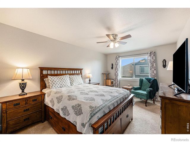 4125 Crittenton Lane 5, Wellington, CO 80549