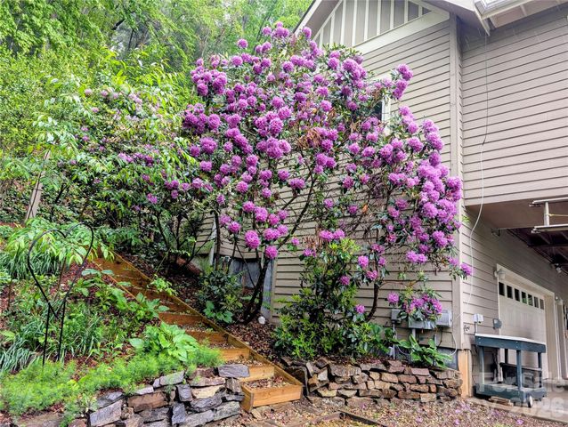 204 Briarcliff None 5, Asheville, NC 28804