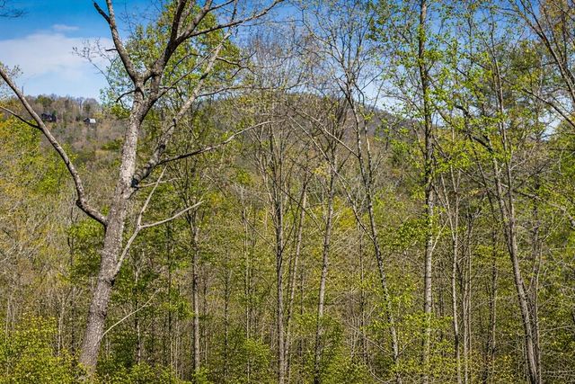 129 Bushy Head Road, Cherry Log, GA 30522