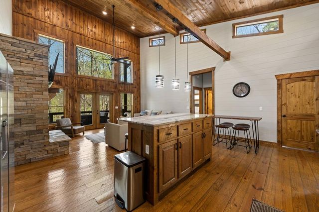 129 Bushy Head Road, Cherry Log, GA 30522