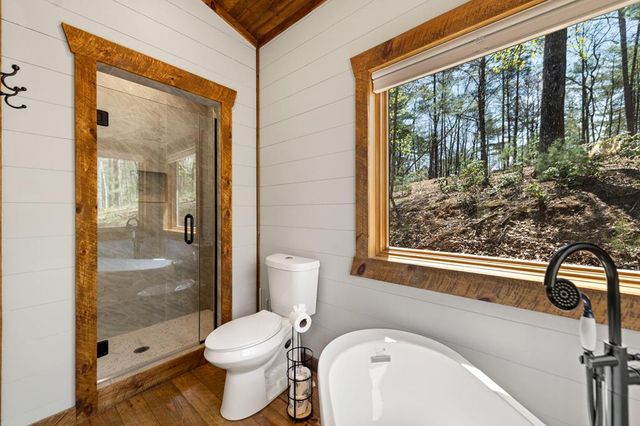 129 Bushy Head Road, Cherry Log, GA 30522
