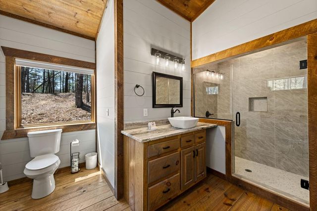 129 Bushy Head Road, Cherry Log, GA 30522