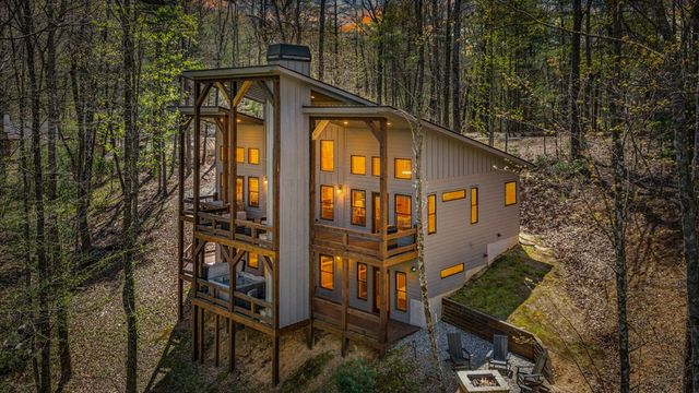 129 Bushy Head Road, Cherry Log, GA 30522