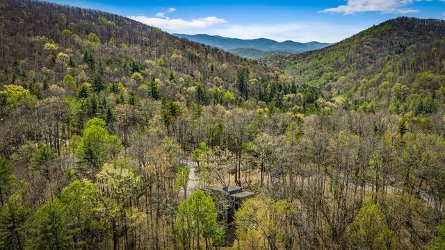 129 Bushy Head Road, Cherry Log, GA 30522