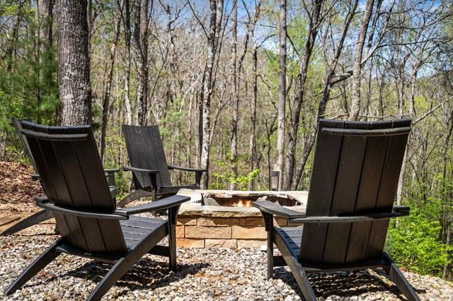 129 Bushy Head Road, Cherry Log, GA 30522
