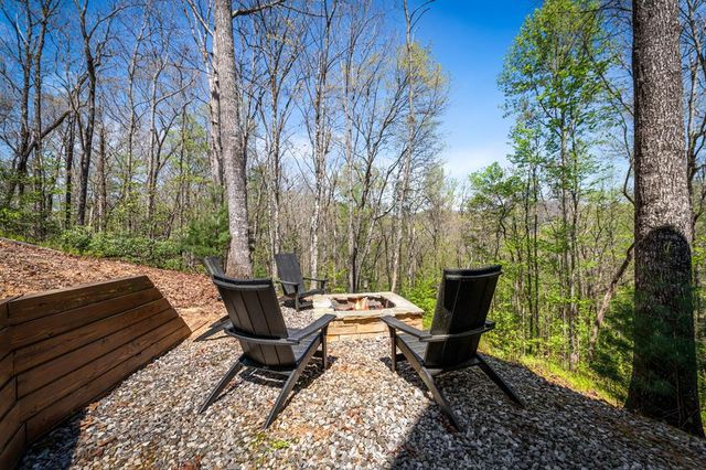 129 Bushy Head Road, Cherry Log, GA 30522