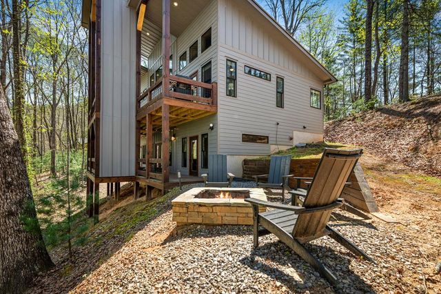 129 Bushy Head Road, Cherry Log, GA 30522