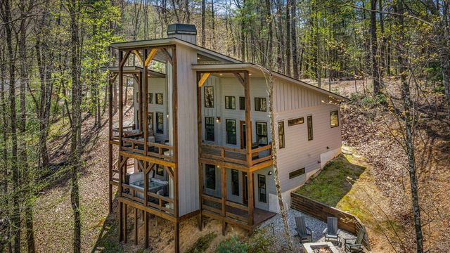 129 Bushy Head Road, Cherry Log, GA 30522
