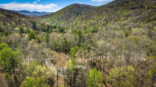129 Bushy Head Road, Cherry Log, GA 30522