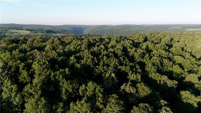 HC 31 Box 120 F, Jasper, AR 72641