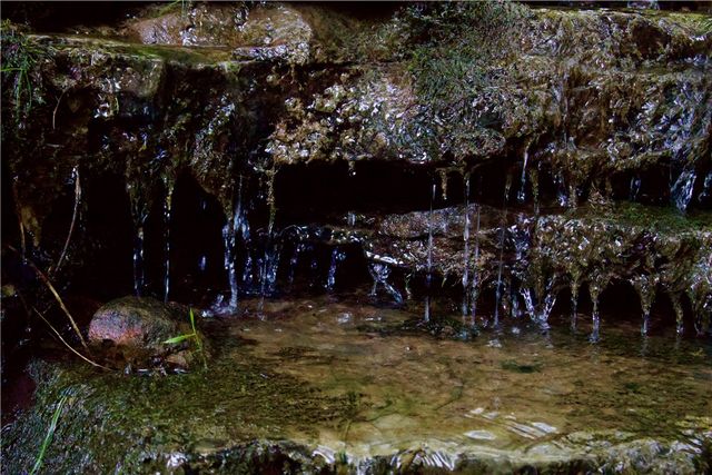 HC 31 Box 120 F, Jasper, AR 72641