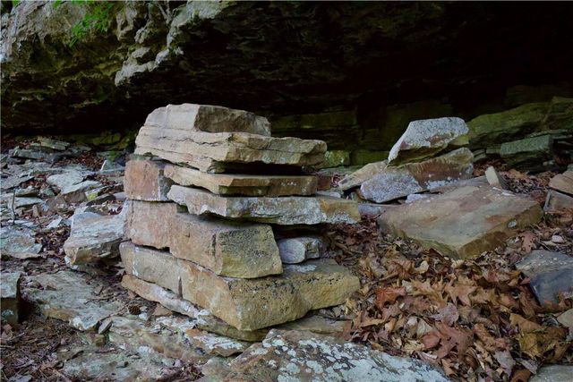 HC 31 Box 120 F, Jasper, AR 72641