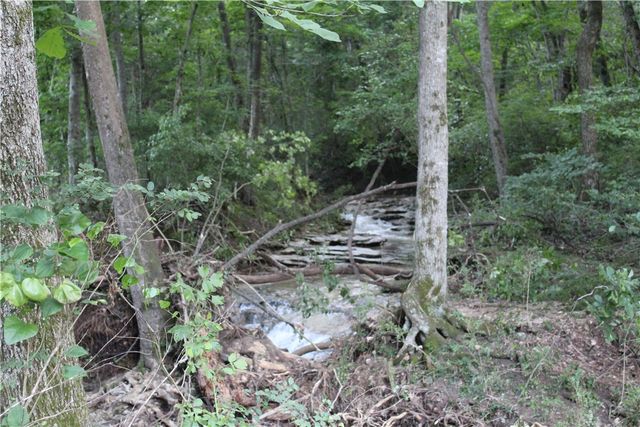 474 MC 4036, Yellville, AR 72687