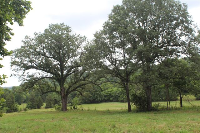 474 MC 4036, Yellville, AR 72687