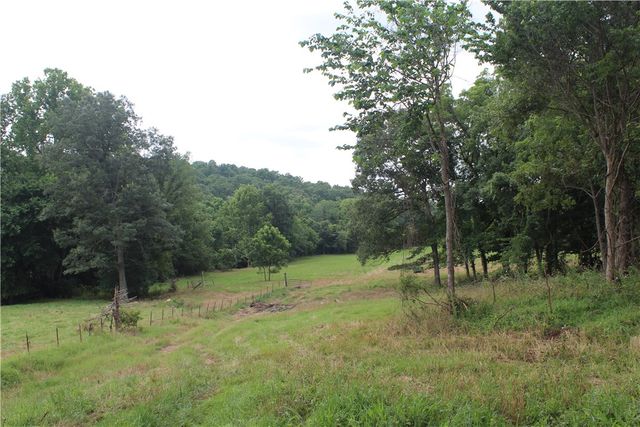 474 MC 4036, Yellville, AR 72687