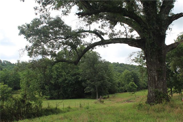 474 MC 4036, Yellville, AR 72687