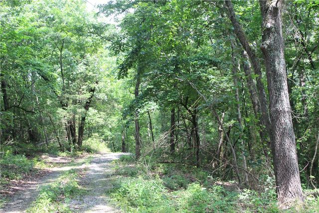 474 MC 4036, Yellville, AR 72687