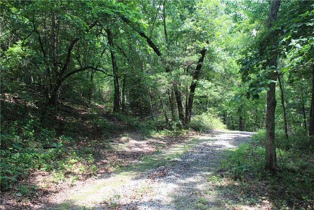 474 MC 4036, Yellville, AR 72687